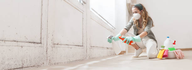 Why You Should Choose Our Mold Remediation Services in Washington, PA